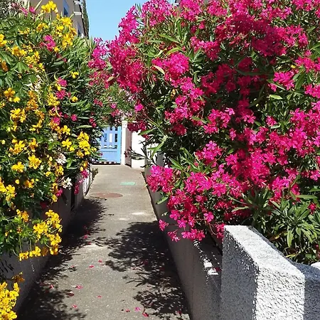 Les Amandines Dom wakacyjny Agde