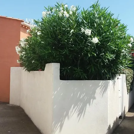 Les Amandines Holiday home *